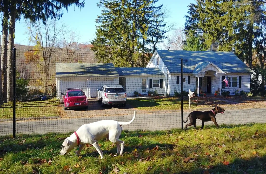 Pet playground Dog Fences