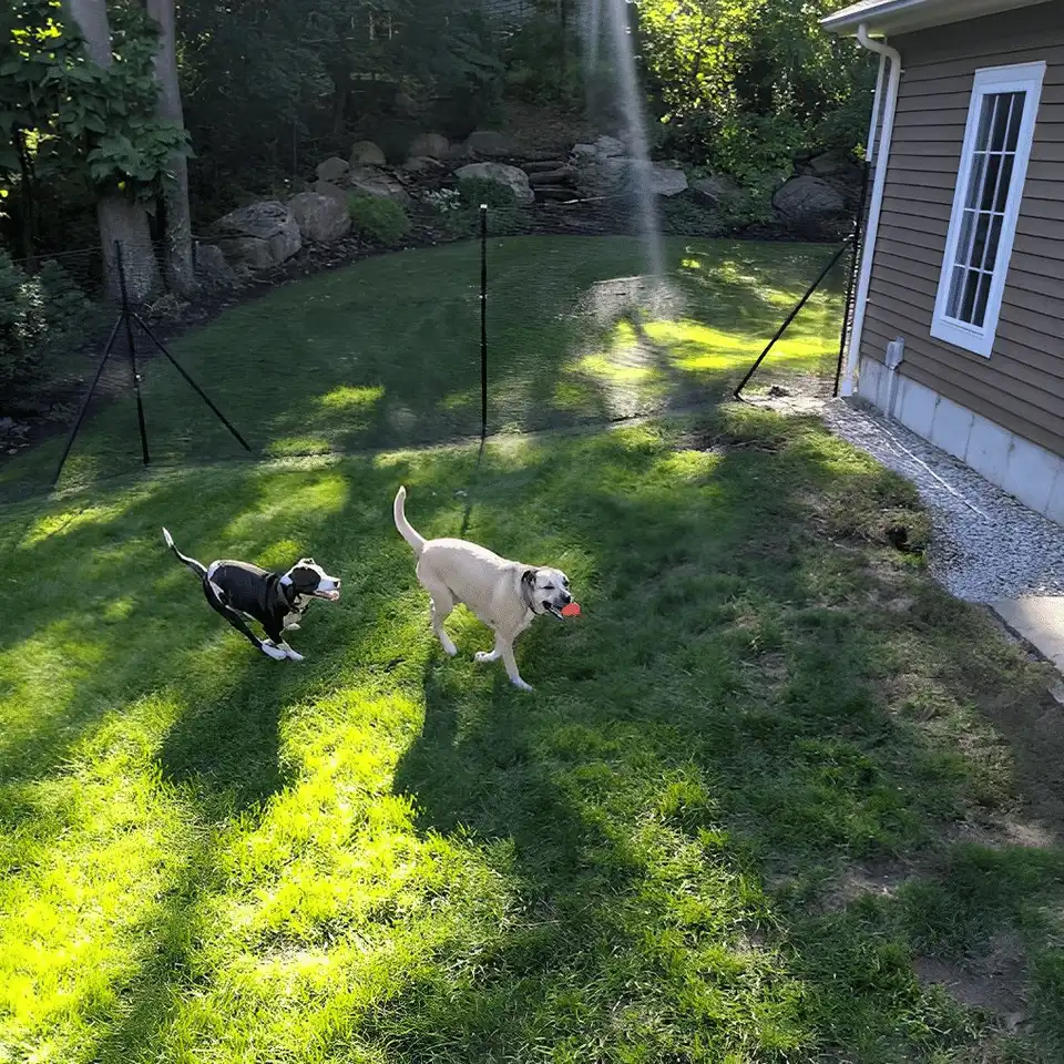 Pet playground Dog Fences