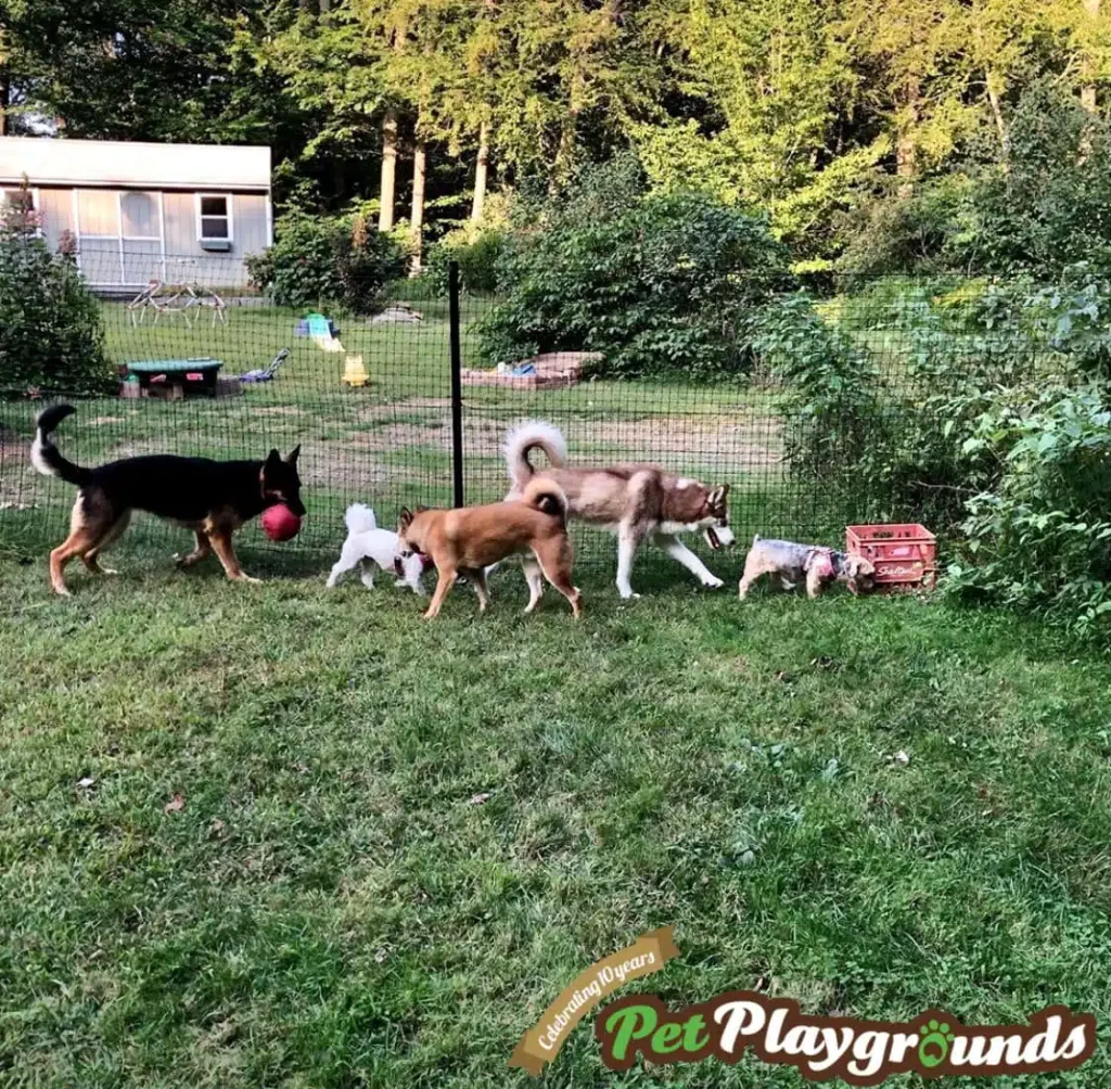 Pet playground Dog Fences