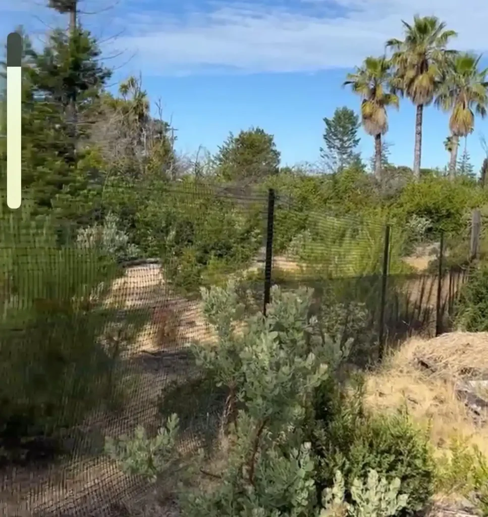 Pet playground Dog Fences